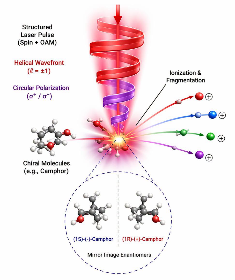 Schematic illustration of twisted-light interaction with chiral camphor, resulting in molecular ionization and fragmentation into constituent atomic and ionic species. (Image: Courtesy of the researchers)