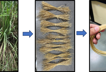 Eco-composite 3D printing filament made of munja grass and HDPE. Credit: Authors of the study.