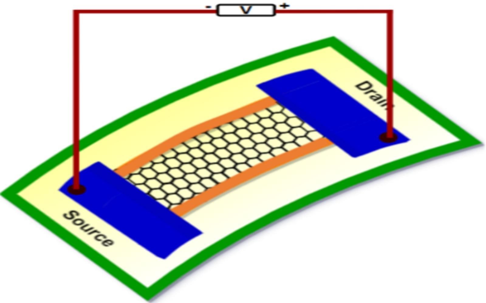 Representative image of a Xene placed between two contacts on a flexible substrate. Credits: Authors of the study