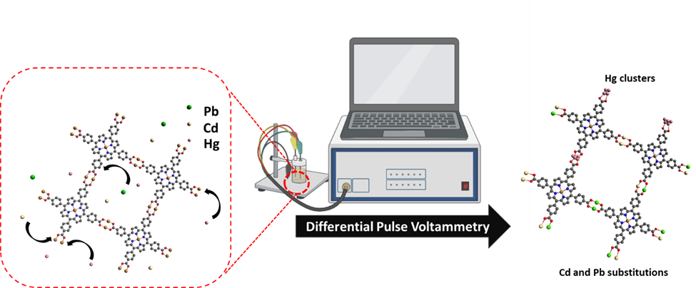 Graphical representation of Cu-TCPP sensor detection of Cd, Pb and Hg atoms. Credit: Prashanth Kannan