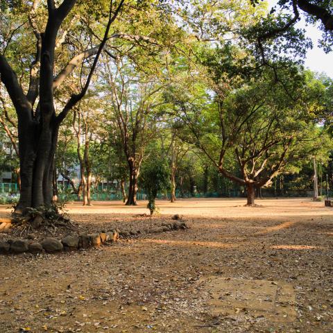 Guest House Lawn